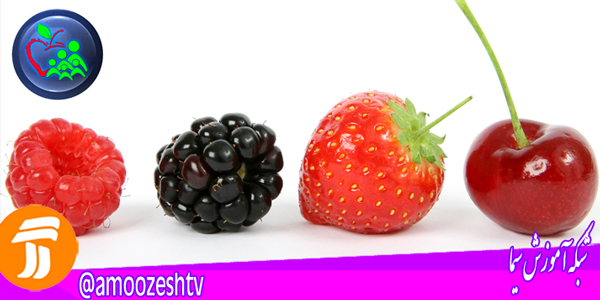 میهمان امروز دکتر سلام دکتر ایرج نجفی    فوق تخصص کلیه و مجاری ادراری (نفرولوژی)