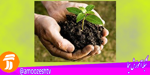 آموزش پرورش کرم زباله خوار با «مشاور»