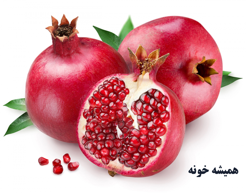 حضور خانواده مجریان در ویژه برنامه «همیشه خونه»