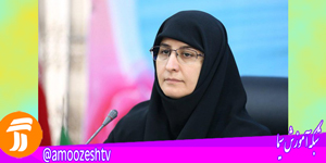 معاون آموزش ابتدایی وزیر آموزش و پرورش:تنوع مدارس به نفع نظام تعلیم و تربیت نیست