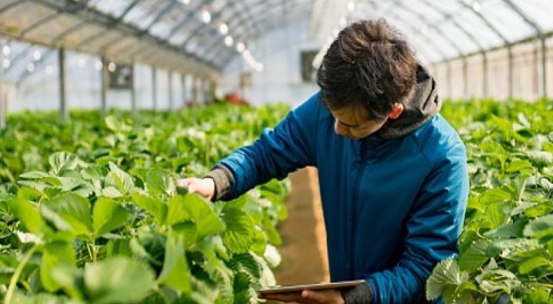 <p><strong><span style="font-size: 12pt; font-family: BYekan;">آشنایی با مشاغل با «من میتوانم» به زودی از شبکه هفت سیما</span></strong></p