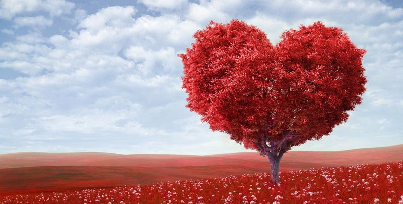 نکات حیاتی برای ایجاد محبت در زندگی زناشویی در«مشاور»بررسی می شود