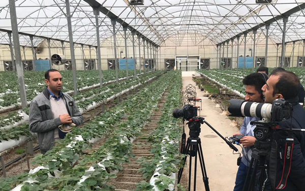 <p><strong><span style="font-size: 12pt; font-family: BYekan;">آموزش کارآفرینی در برنامه جدید «راهش اینه»</span></strong></p>